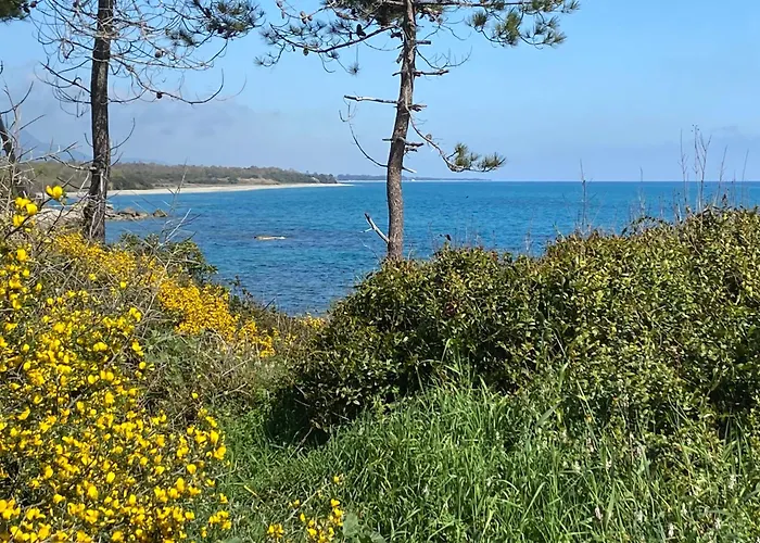 T2 Vue Mer Corse N193