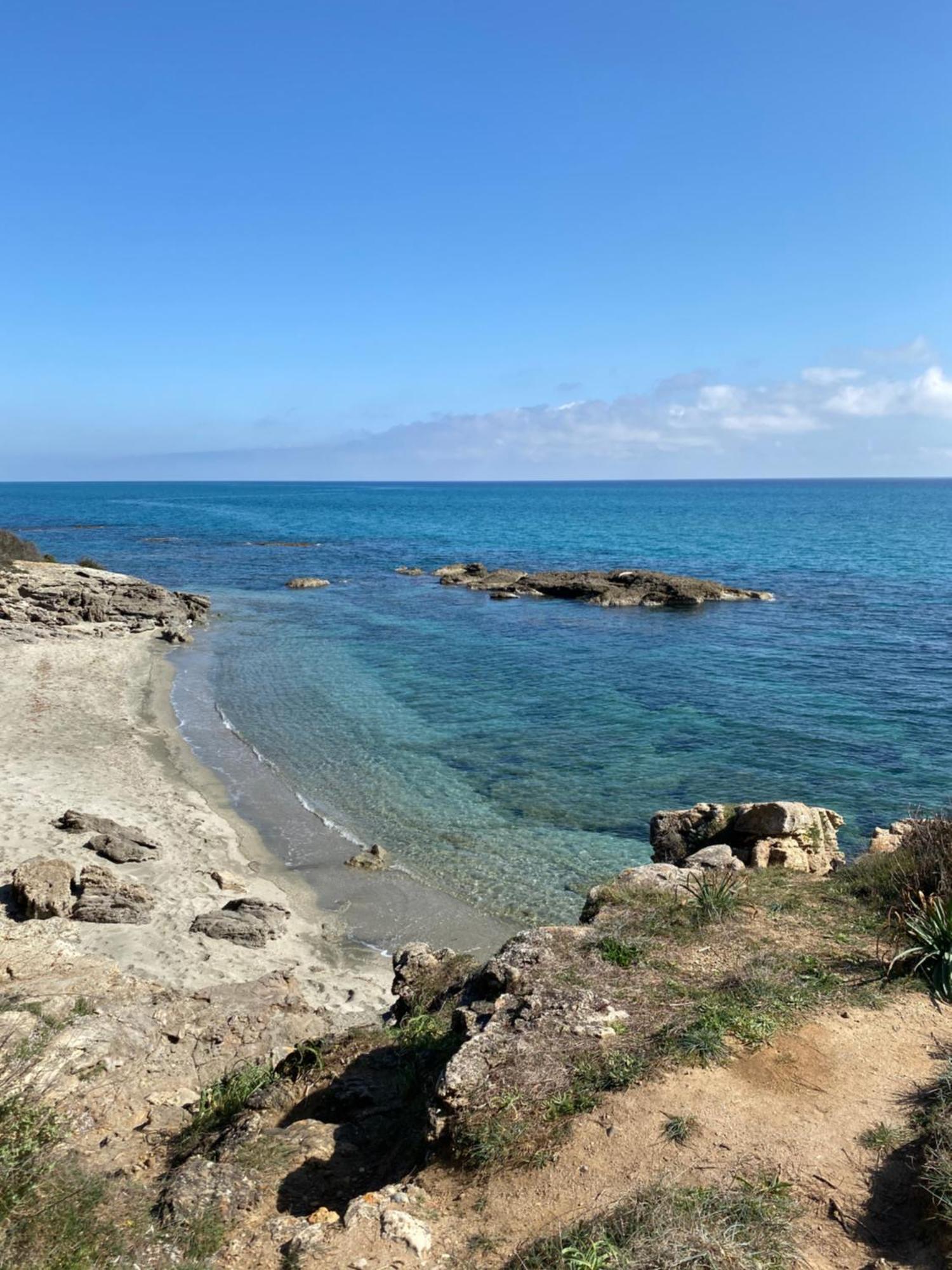 T2 Vue Corse N193 *